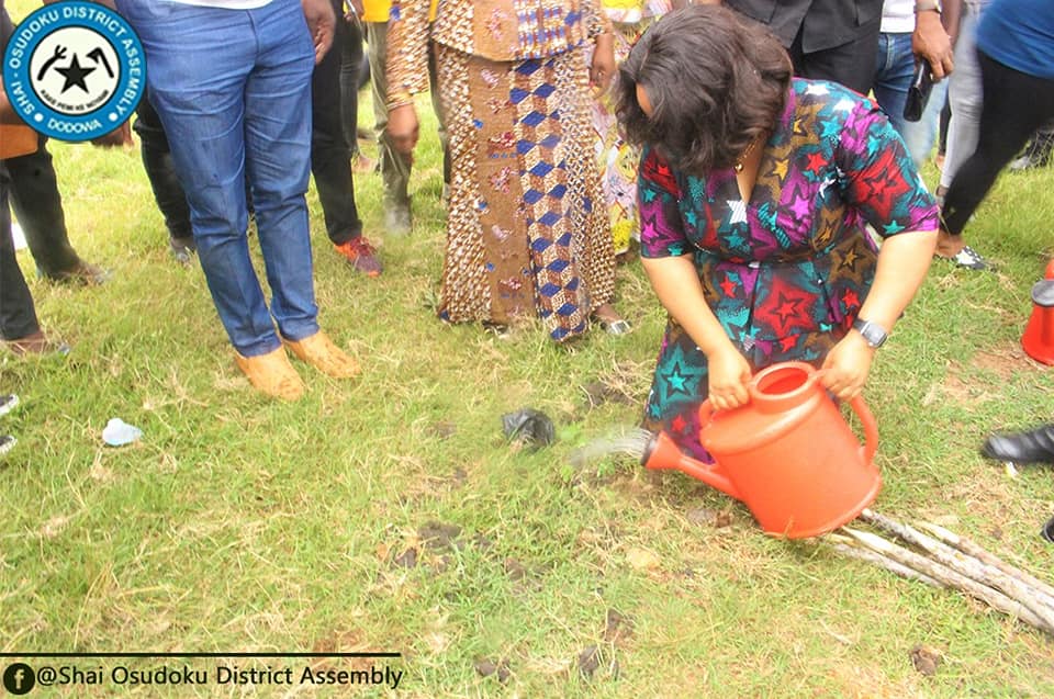 Ghanaians Urged to Cultivate Gardens In Their Homes.