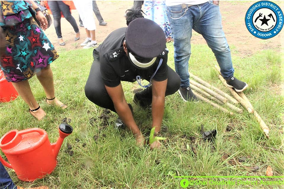 Ghanaians Urged to Cultivate Gardens In Their Homes.