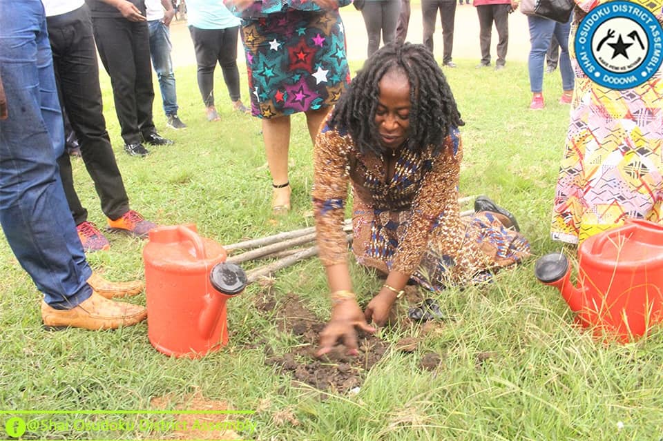 Ghanaians Urged to Cultivate Gardens In Their Homes.