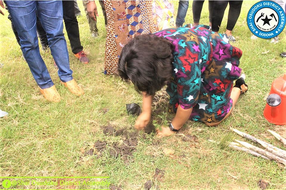 Ghanaians Urged to Cultivate Gardens In Their Homes.