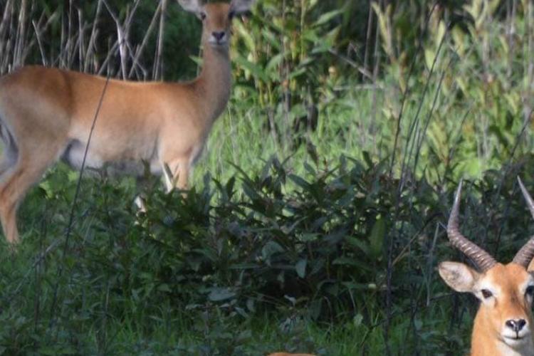The Beauty of Nature at the Shai Hills Resort